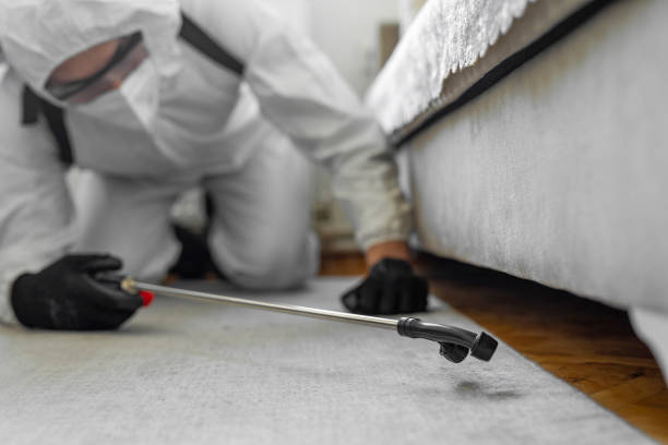 Professional Pest Control technician working in Henry County County, VA